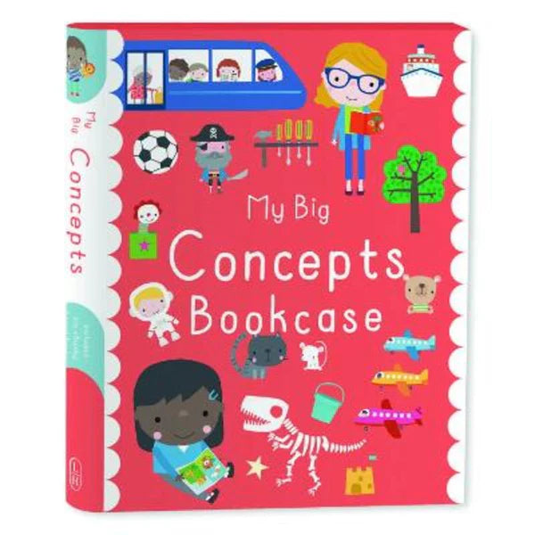 Entertaining children's chapter booksMy Big Concepts Bookcase by Dawn Machell