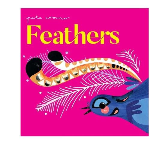 Entertaining children's chapter booksPeter Cromer's Feathers Board Book