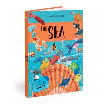 Entertaining children's chapter booksSassi What How Why The Sea Book and Poster