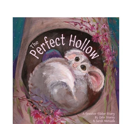 Action-packed adventure books for kidsPerfect Hollow