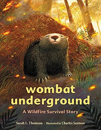 Fun-filled children's books Wombat Undergroud