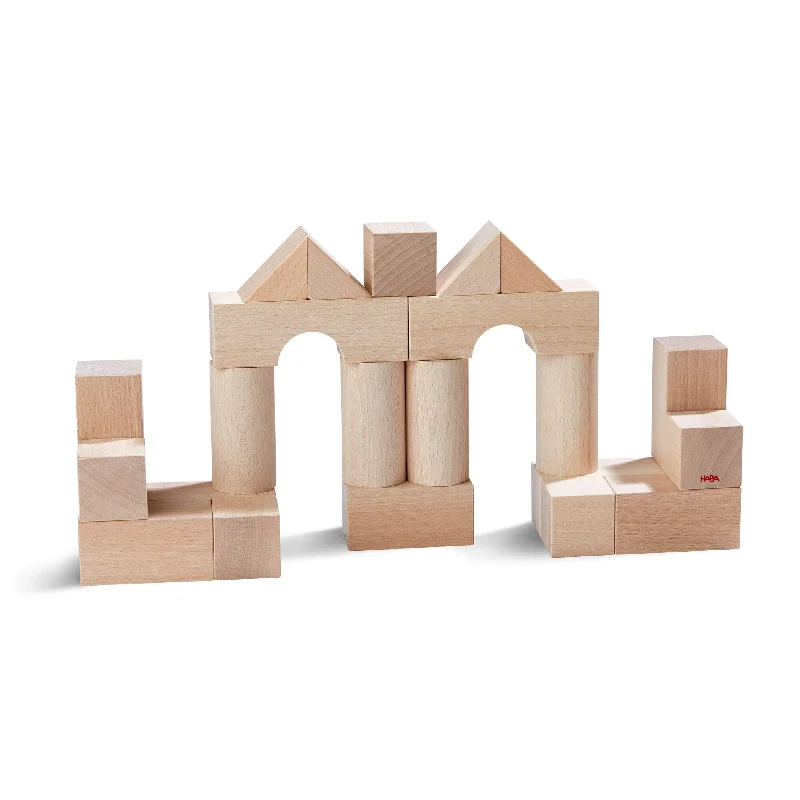 eco-friendly wooden toys                   Basic Building Blocks 26 Piece Starter Set