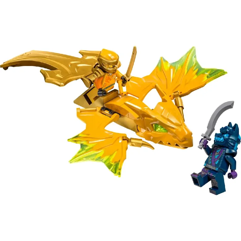 Customizable and personalized LEGO optionsLego Ninjago Arin's Rising Dragon Strike