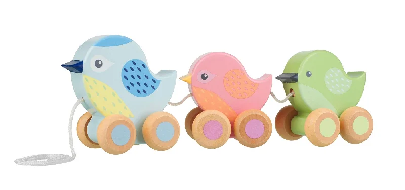 safe and appropriate wooden toys for young children                   Orange Tree Toys Pull Along Birdies