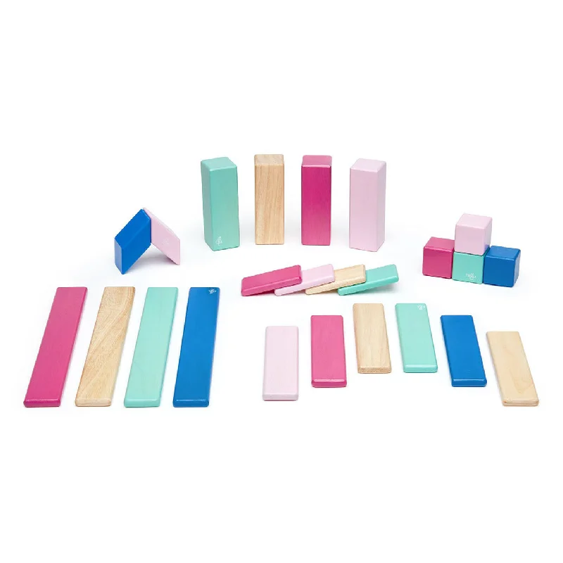 non-toxic wooden toys                   Tegu 24 Piece Set in Blossom