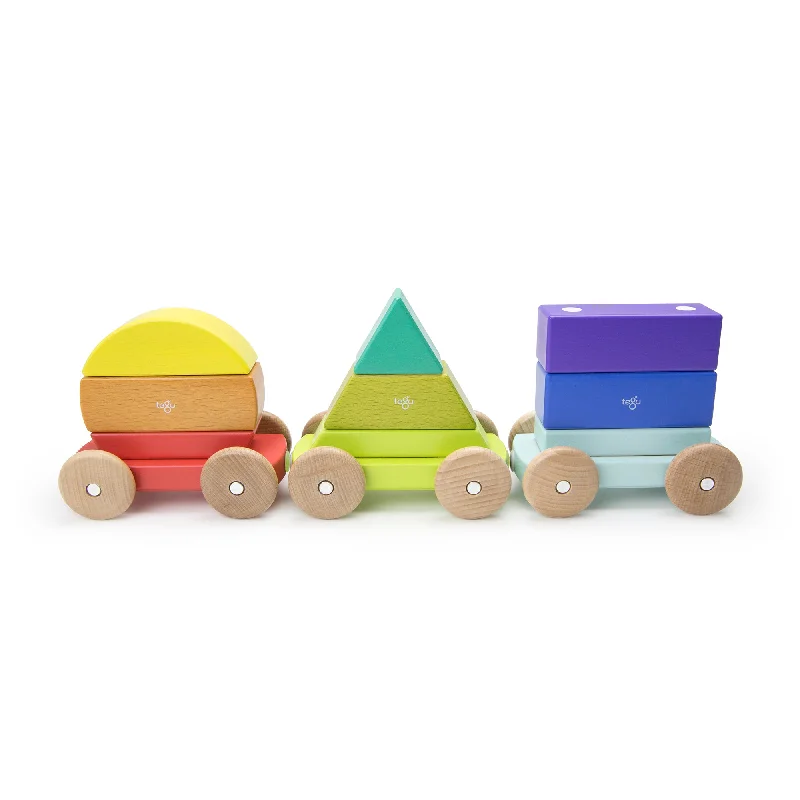 enchanting and whimsical wooden toys that captivate attention                   Tegu Shape Train Rainbow Magnetic Wooden Blocks