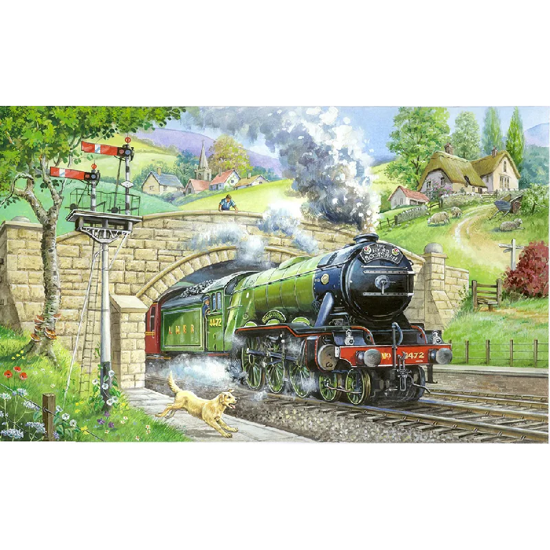 Educational games The House of Puzzles Train Spotting, Big 250 Piece Jigsaw Puzzle